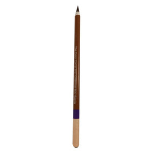 The Color Company Charcoal Pencil 900 Sepia
