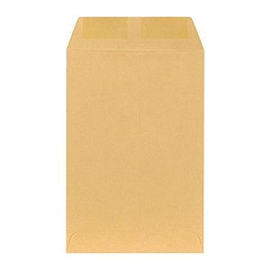 Paper Envelope Brown F/S